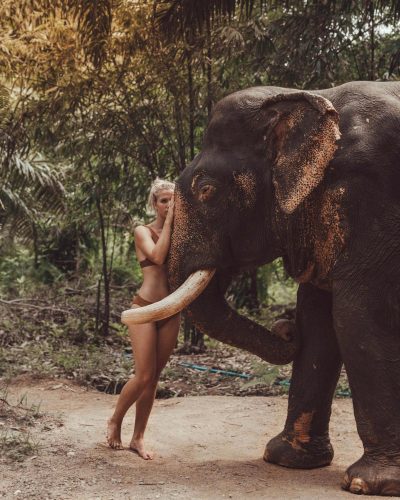 welcome to travelinyourarms elephant khao sok