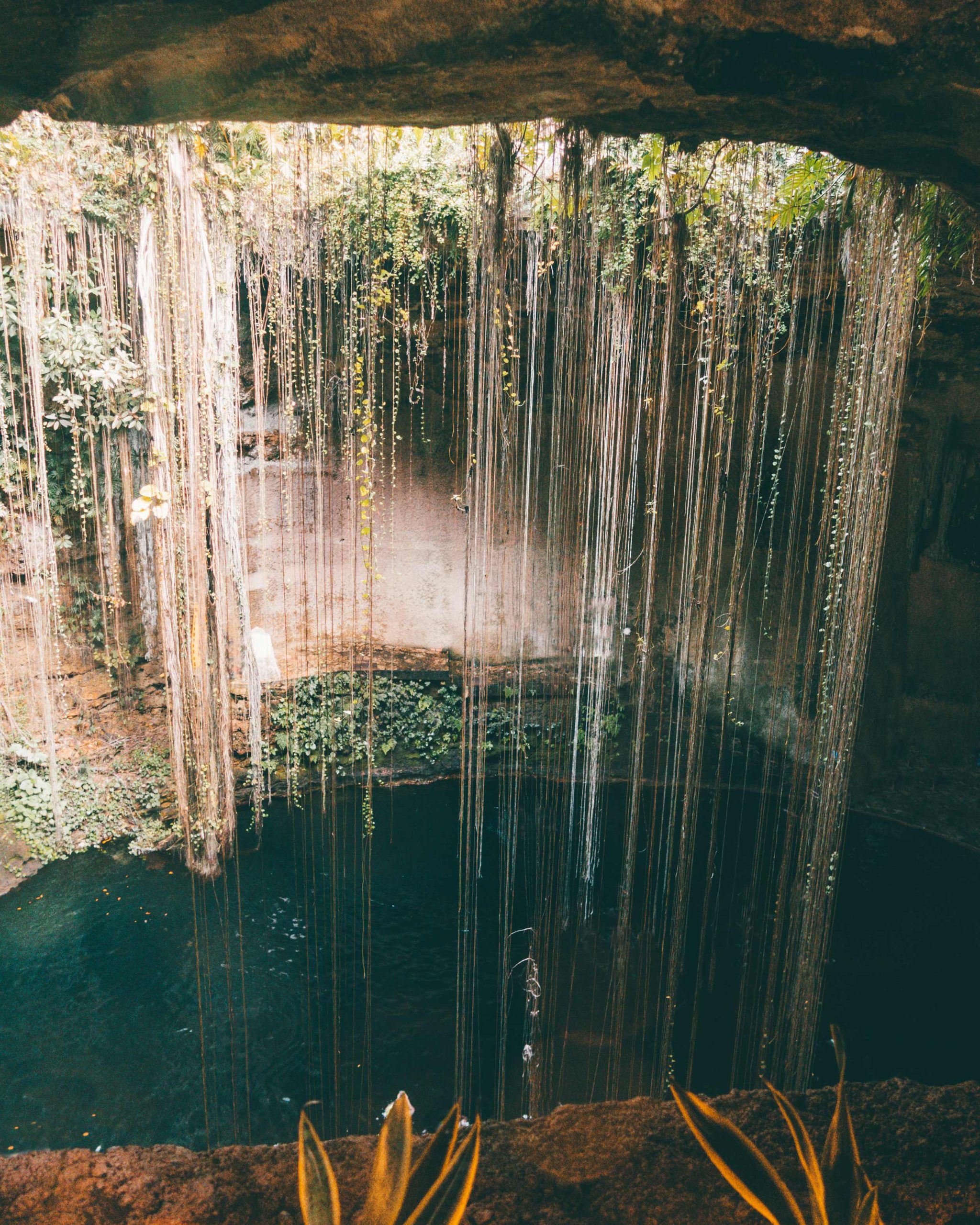 Bing image: Cenote near Puerto Aventuras, Mexico - Bing Wallpaper Gallery